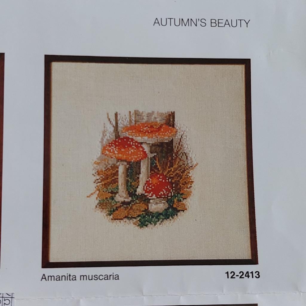 Borduurpakket Paddestoel  Vliegenzwam - 35 x 35 cm, Ophalen of Verzenden, Zo goed als nieuw, Handborduren, Borduurpakket