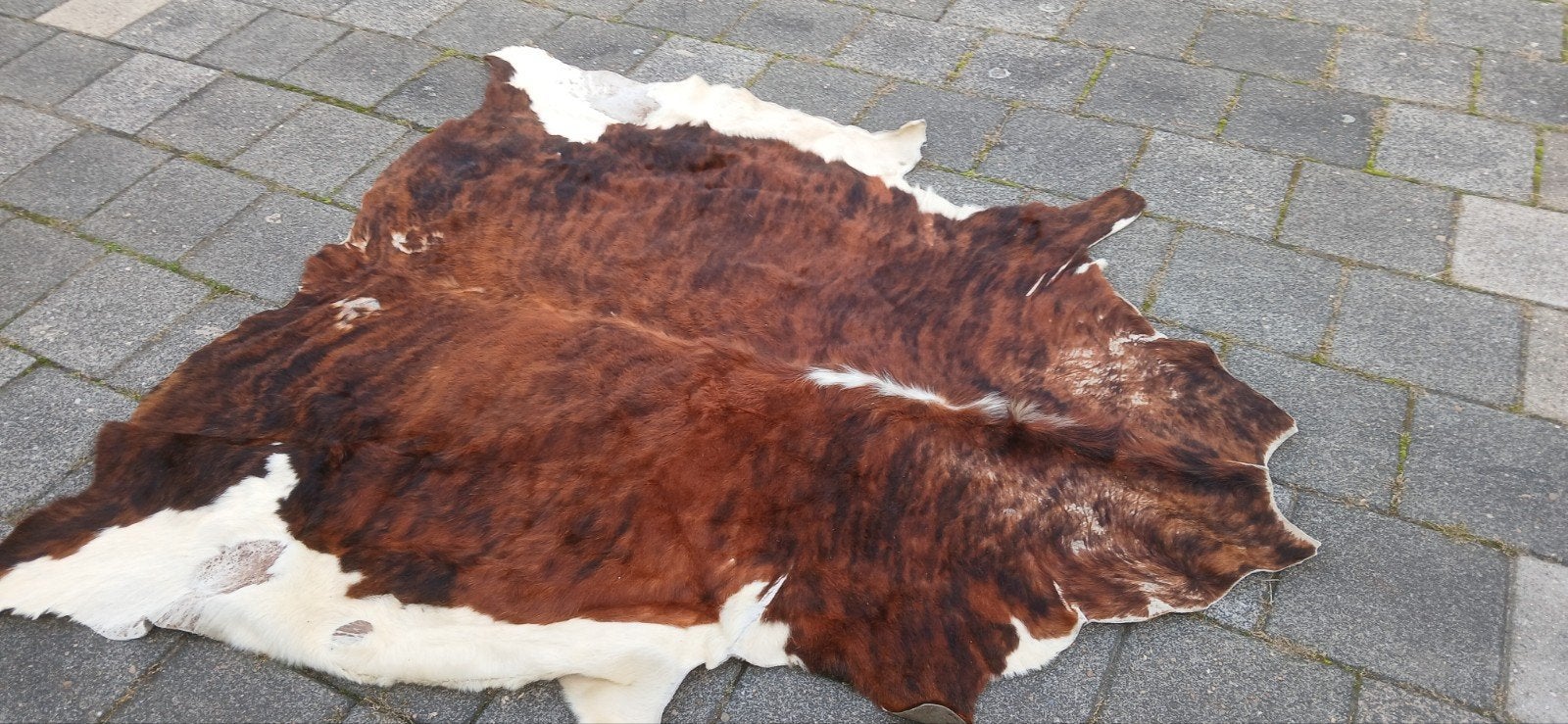 Prachtige koeienhuid - bruin/wit gevlekt, Ophalen, Gebruikt, 100 tot 150 cm, Rustiek, Natuurlijk, Bohemian