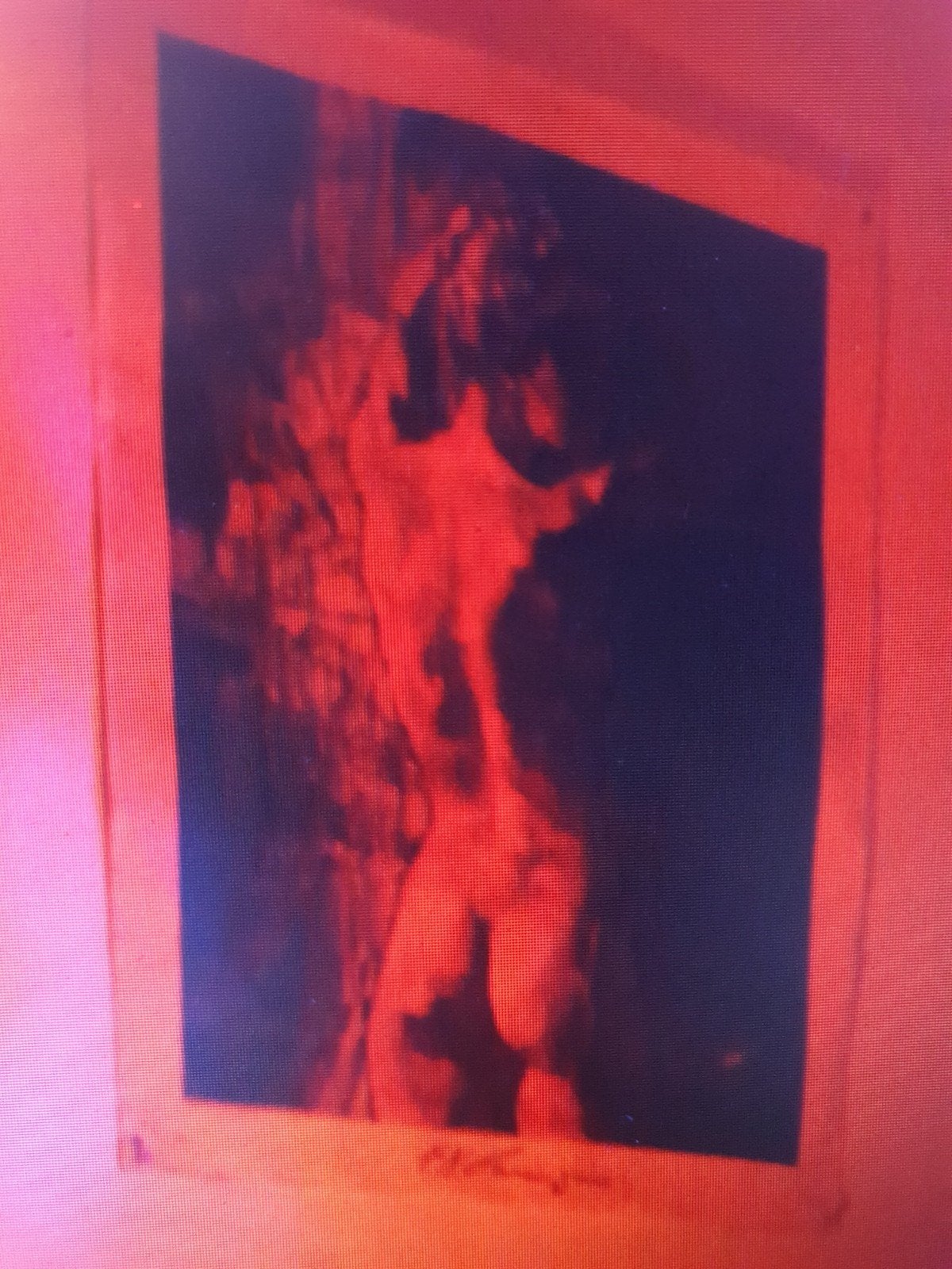 Gezocht: Naam print / artiest, Ophalen of Verzenden, Print, Print/reproductie
