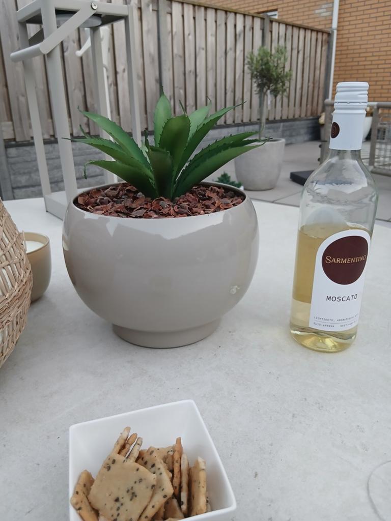 Kunst Aloë Vera plant in pot, Ophalen, Groen, Onderhoudsvrij, Kunstplant