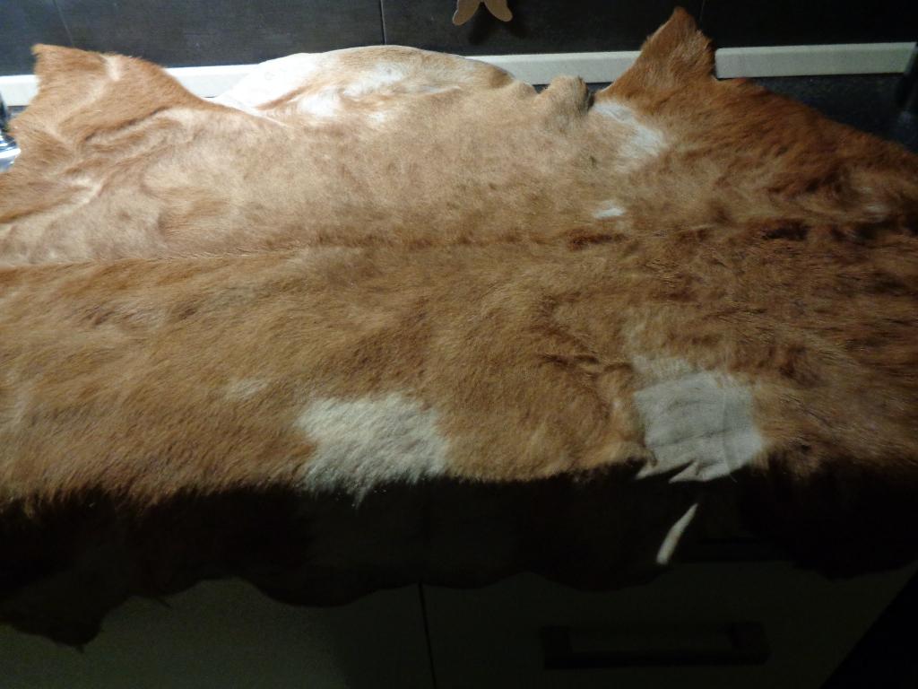 echt geiten vel, 50 tot 100 cm, Bruin, Zo goed als nieuw, Overige vormen