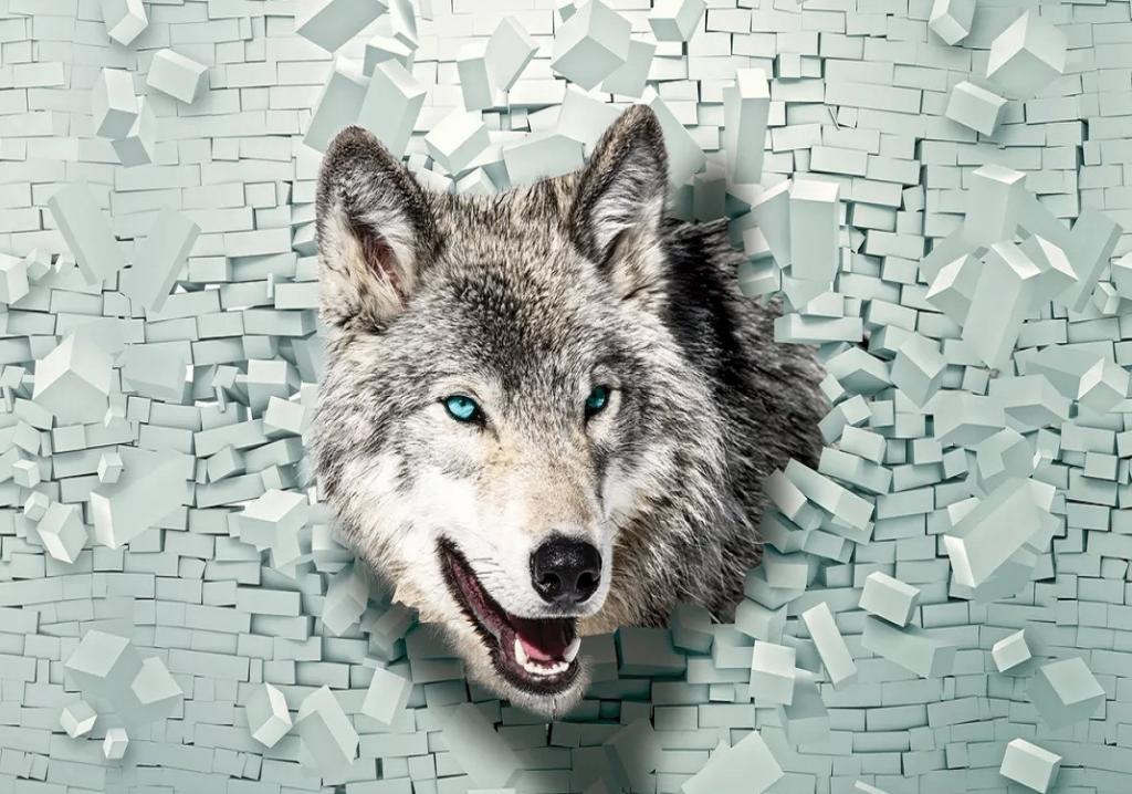 3D fotobehang Wolf door muur, wolvenbehang, Muurdeco4kids, Verzenden