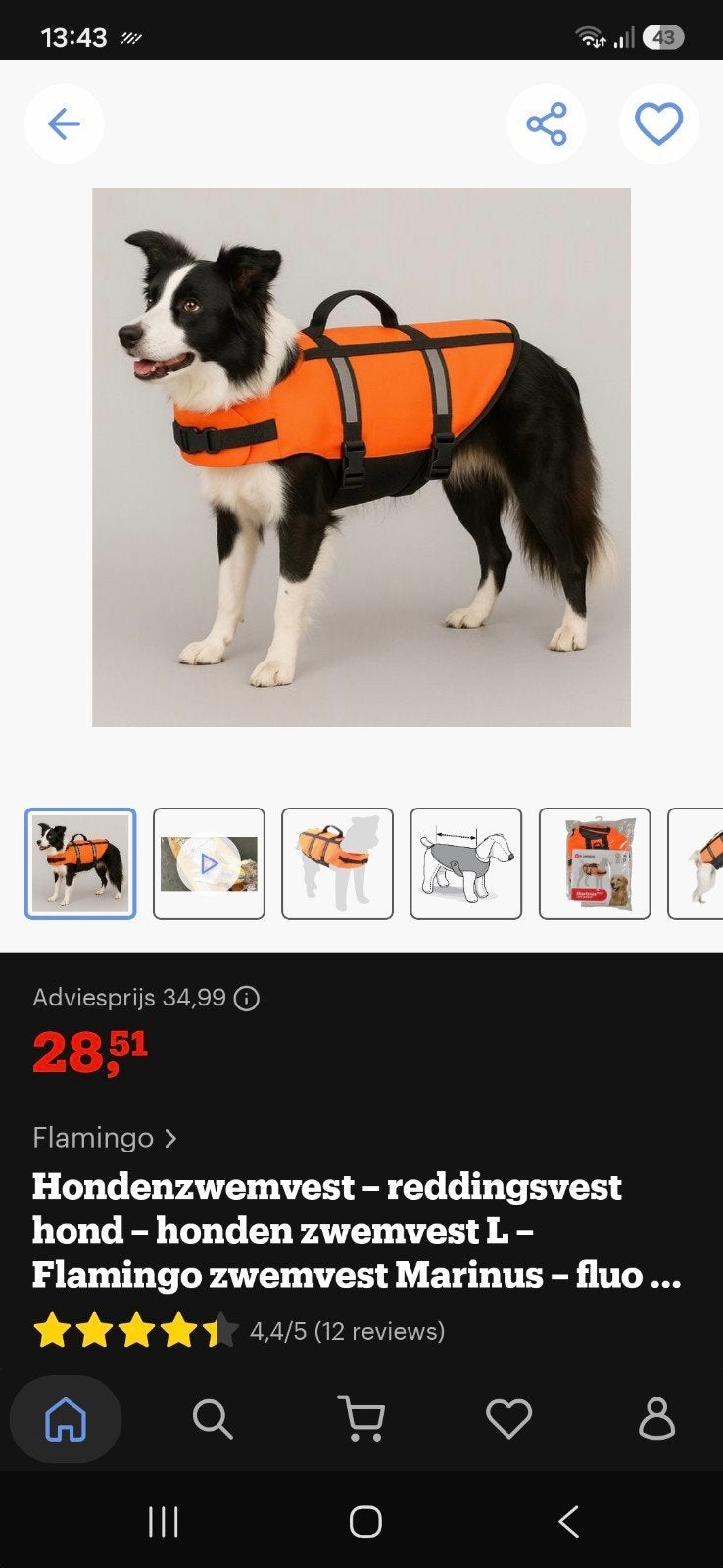Flamingo zwemvest Hond maat L nieuw, Flamingo, Ophalen, Nieuw, Overige typen
