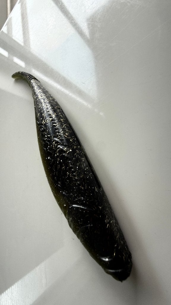 Dragon Jerky 15 cm Softbait – Nieuw (C560), Ophalen of Verzenden, Nieuw, Overige typen