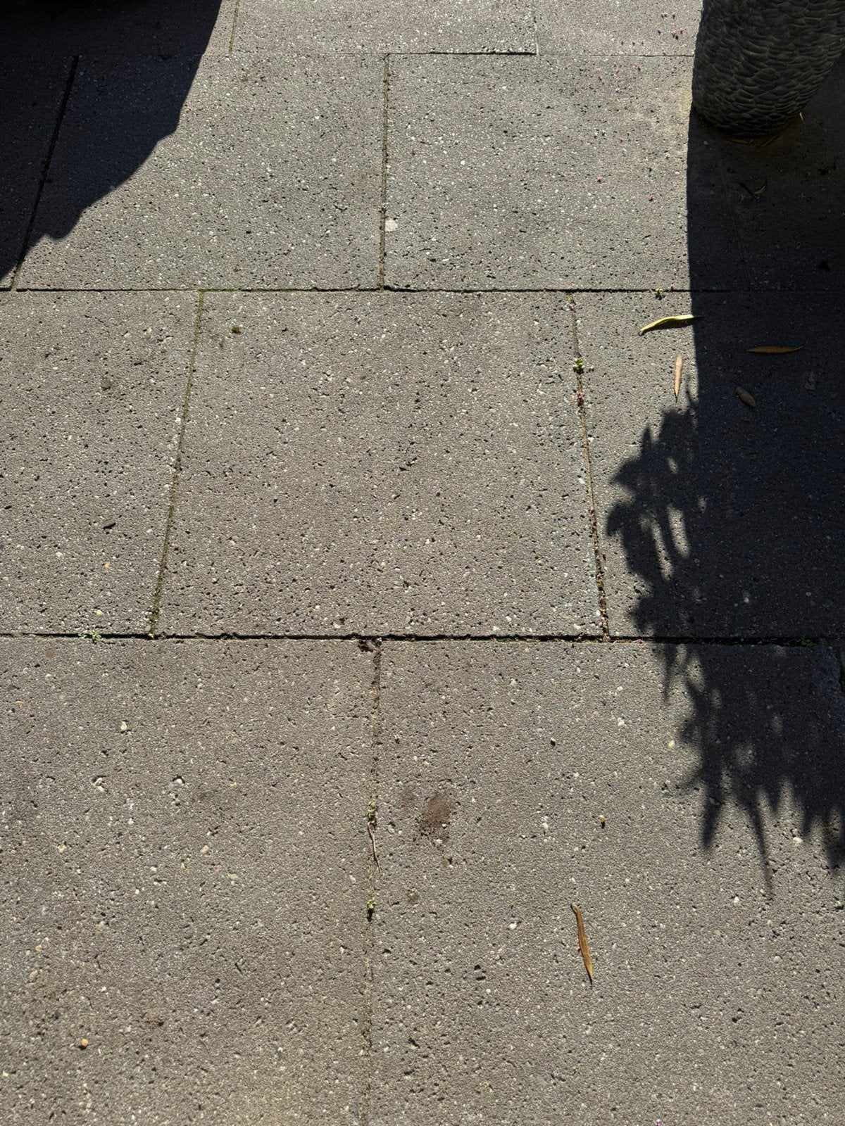 Schellevis betontegels voor de oprit 60 x 60 cm, Ophalen, Gebruikt, 10 m² of meer, Beton