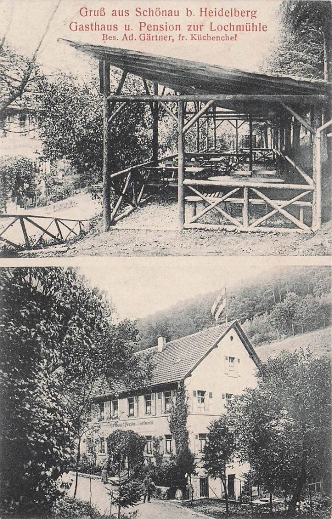 703-100-013 Gruss aus Schönau bei Heidelberg Gasthaus und, Verzenden, Voor 1920, Duitsland