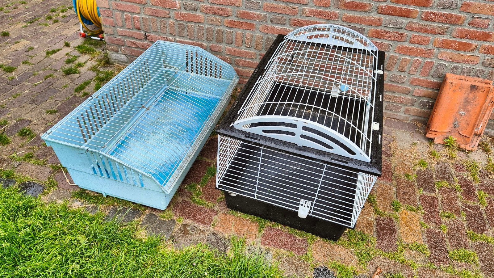 Cavia kooien, Kooi, 110 cm of meer, Cavia, Ophalen