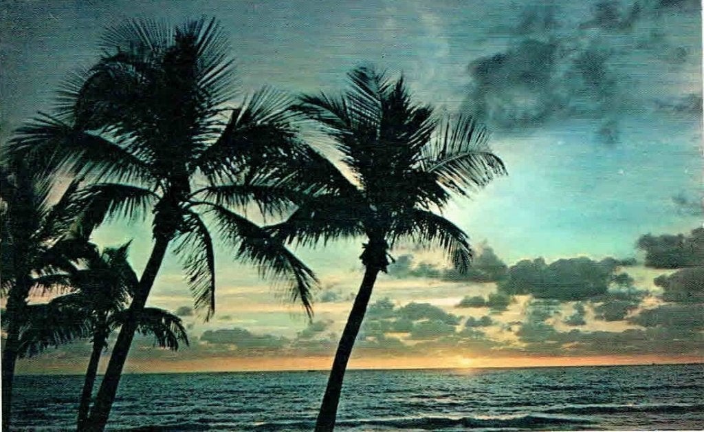 Aruba Zonsondergang bomen, Verzamelen, Verzenden, 1960 tot 1980, Ongelopen, Natuur
