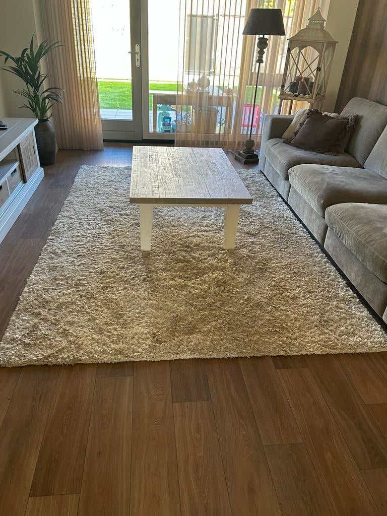 Vloerkleed, Gebruikt, 150 tot 200 cm, 200 cm of meer, Ophalen of Verzenden