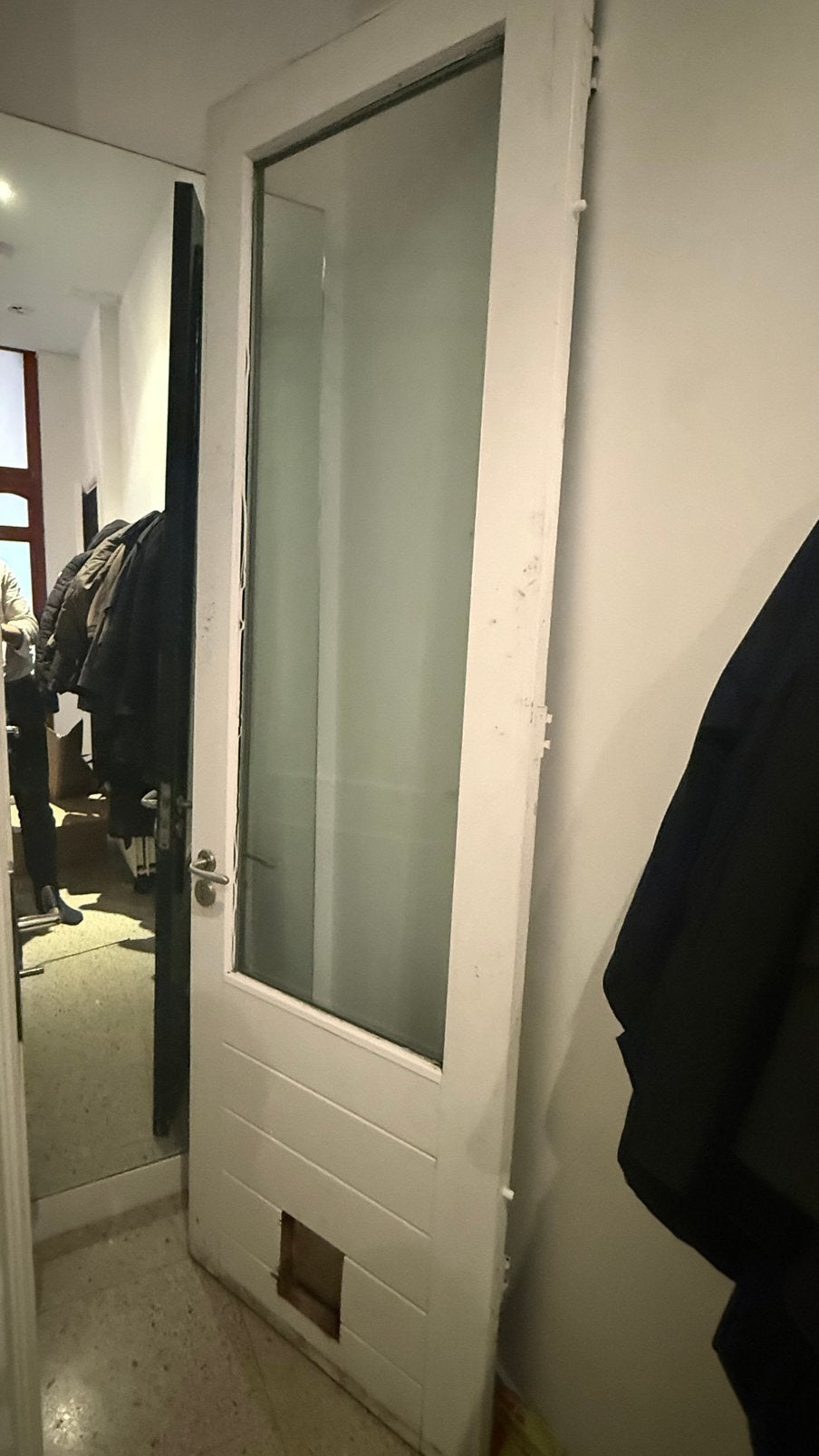 Buitendeur met glas, Ophalen, Gebruikt, Minder dan 80 cm, 215 cm of meer