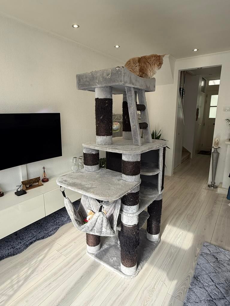 Xxl krablpaal, Dieren en Toebehoren, Ophalen, Gebruikt