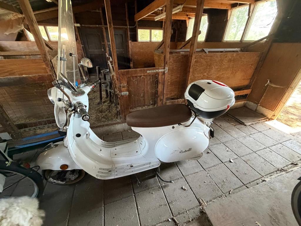 Retelli elektrische scooter 45 km/u met alarm en helm, Ophalen, Gebruikt, Elektrisch, Overige merken