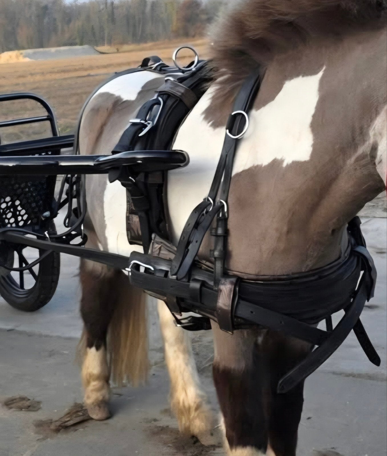 Mentuig mini shetlander zwart leer, Dieren en Toebehoren, Paarden en Pony's | Hoofdstellen en Tuigage, Ophalen of Verzenden, Zwart