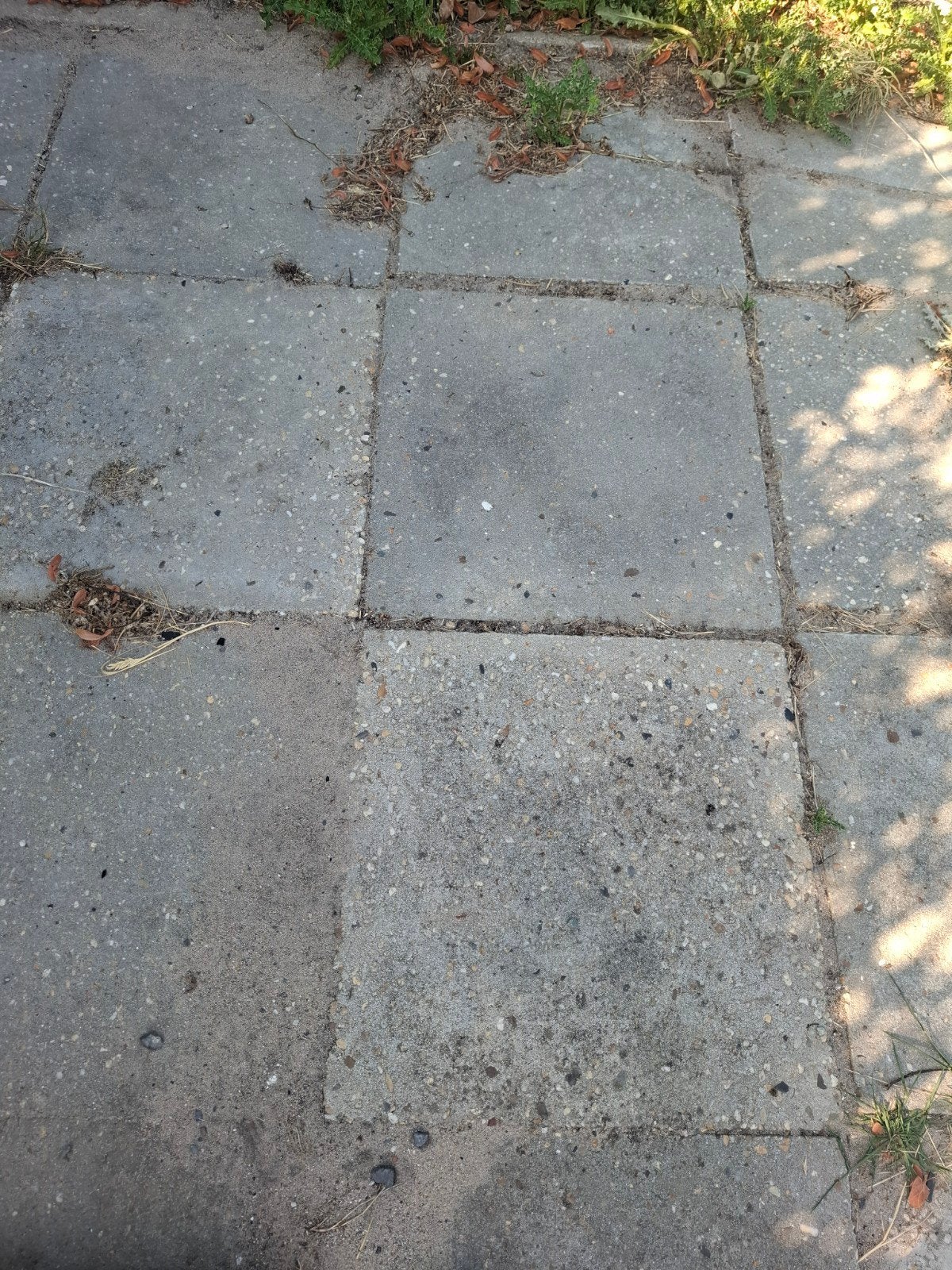 Gebruikte terrastegels van beton, Gebruikt, Ophalen of Verzenden, 10 m² of meer, Beton
