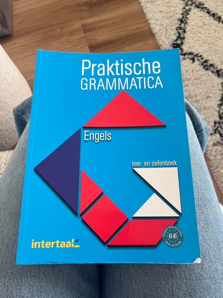 Praktische grammatica Engels - Hotelschool MBO, Ophalen of Verzenden, Gelezen, Non-fictie