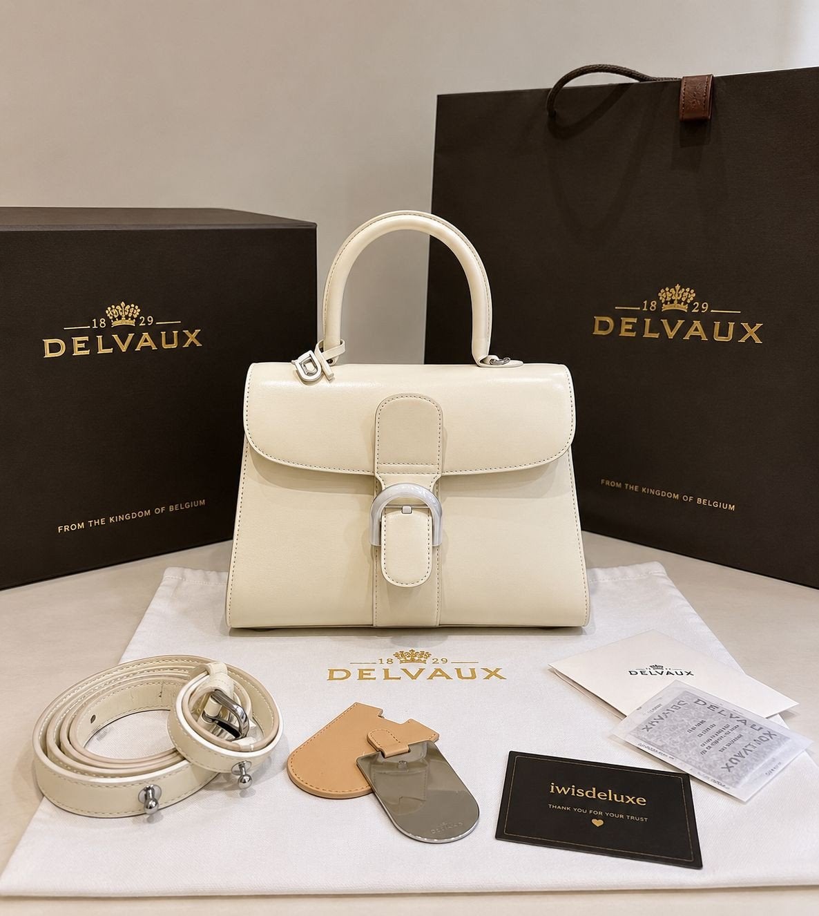 Delvaux Brillant Cool Box Echt Leer Top Kwaliteit + doos, Sieraden, Tassen en Uiterlijk, Tassen | Damestassen, Ophalen of Verzenden