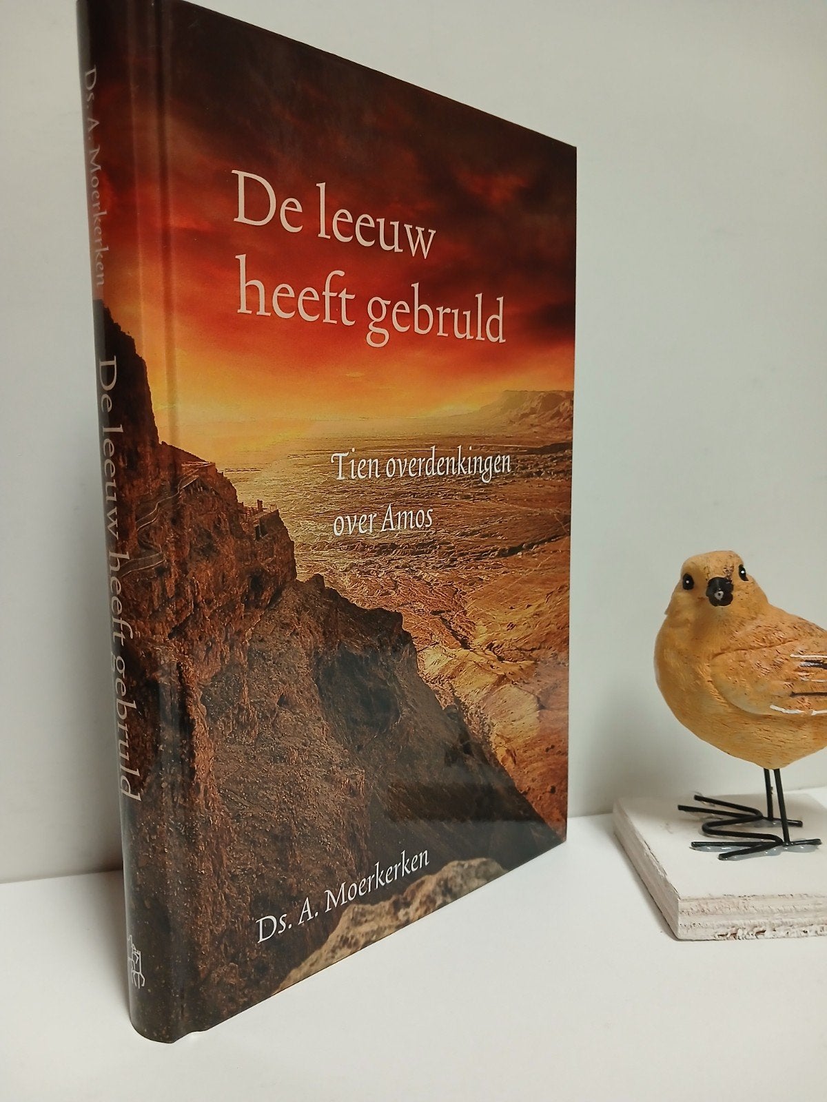 Moerkerken, Ds. A.; De leeuw heeft gebruld, Ophalen of Verzenden, Gelezen, Christendom | Protestants