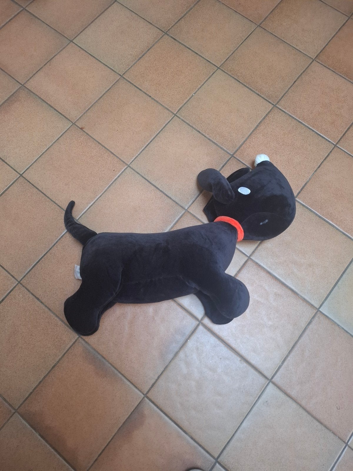 hema takkie hond. fiep westendorp, Ophalen of Verzenden, Hond