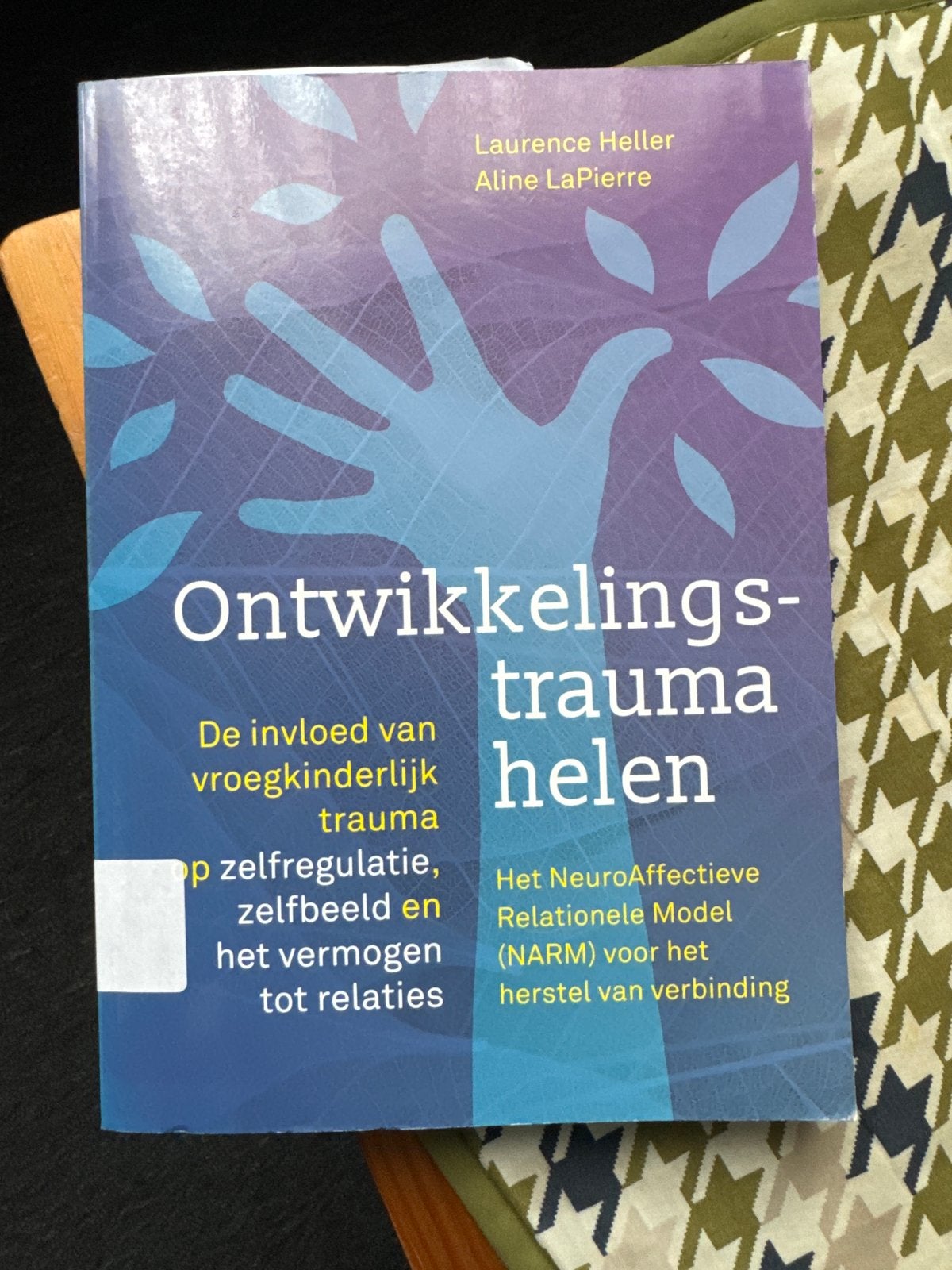 Ontwikkelingstrauma helen - Laurence Heller & Aline LaPierre, Ophalen of Verzenden, Zo goed als nieuw, Klinische psychologie