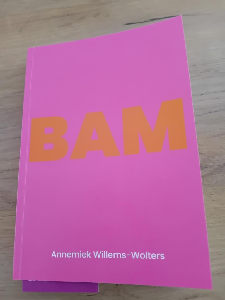 Annemiek Willems - BAM, Ophalen, Zo goed als nieuw, Annemiek Willems