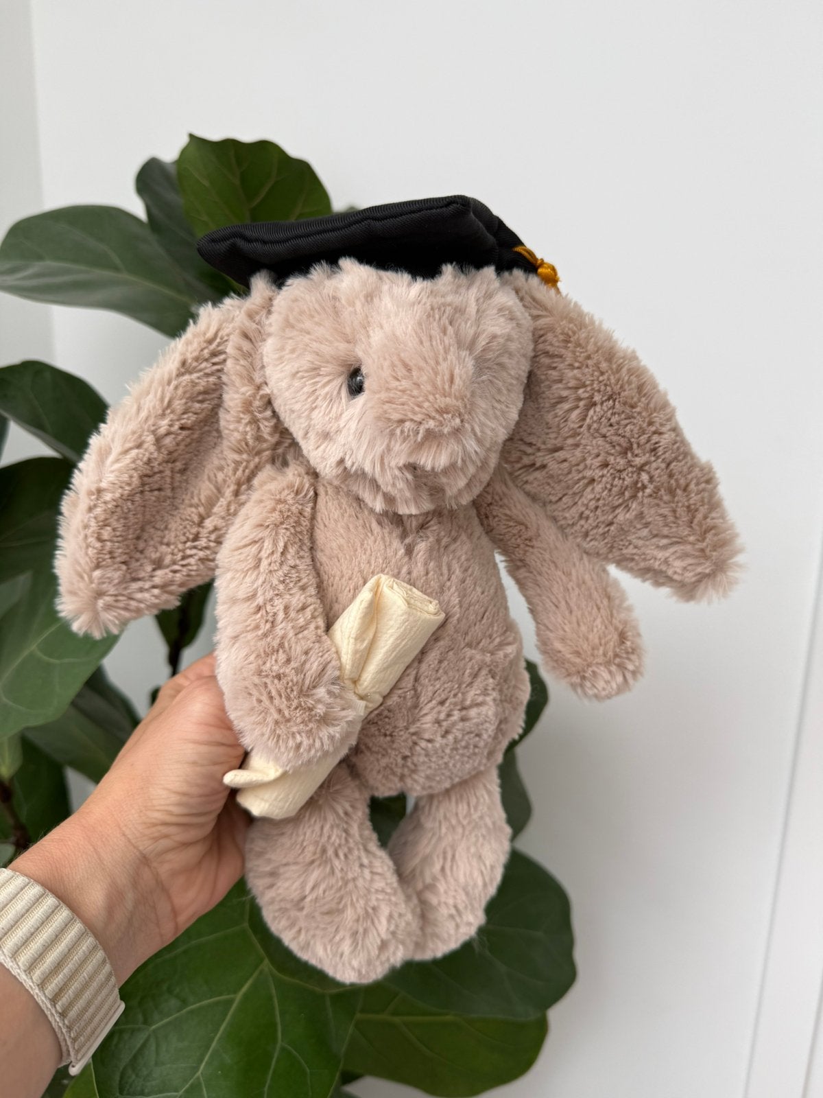 Graduation Bunny Knuffel konijn “Geslaagd”, Ophalen of Verzenden, Nieuw, Overige typen, Overige merken