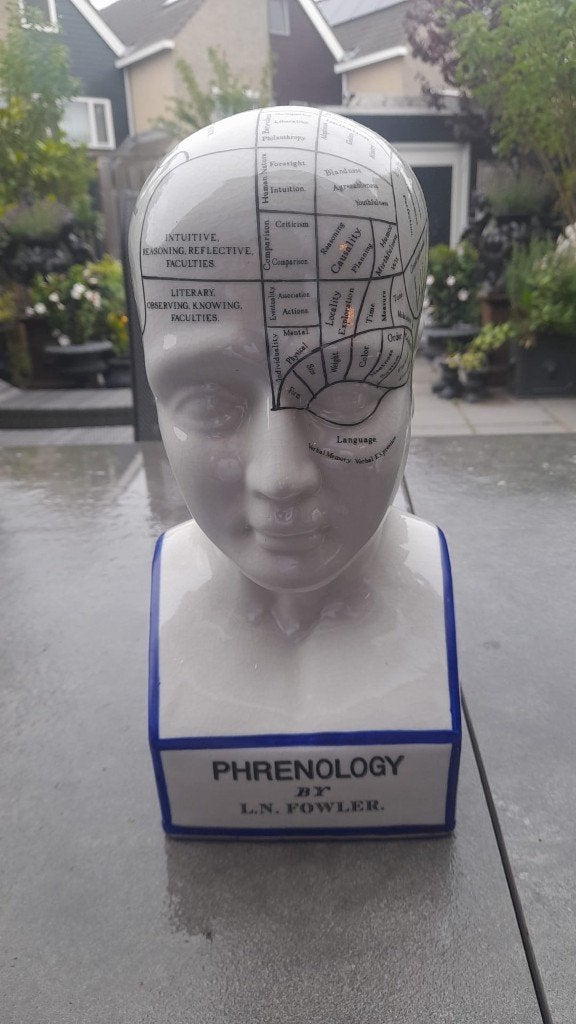 Phrenology hoofd by L.N.Fowler, Ophalen