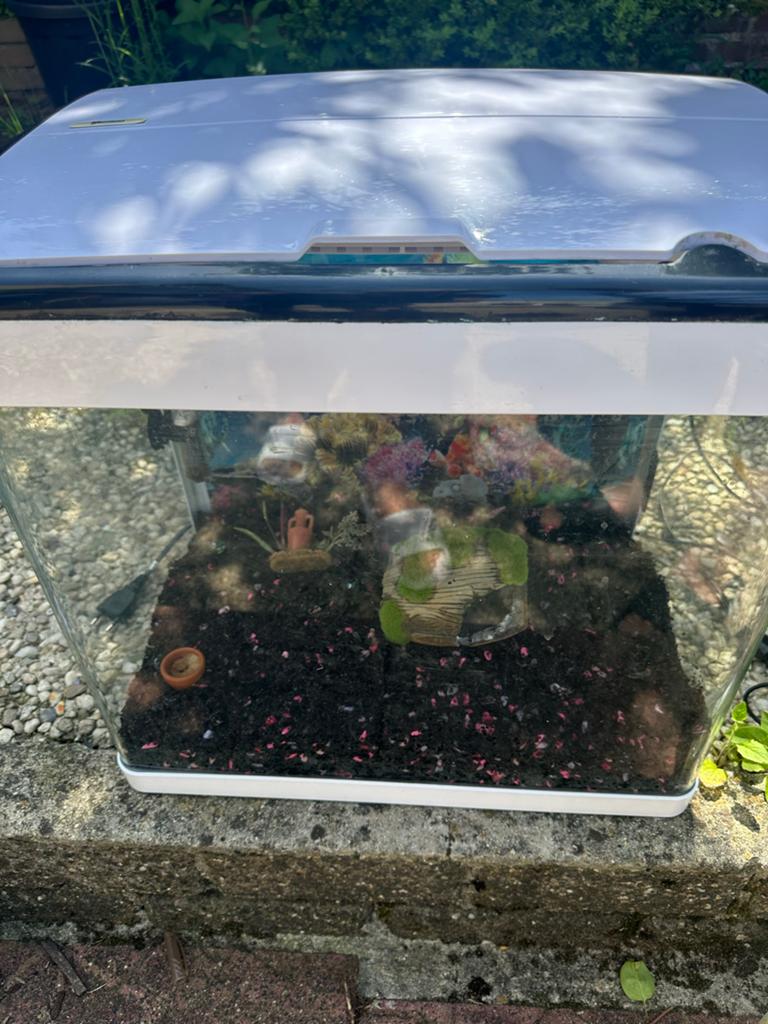 Superfish Aquarium wit 50 L, Dieren en Toebehoren, Vissen | Aquaria en Toebehoren, Ophalen, Verwarming, Zo goed als nieuw, Leeg aquarium