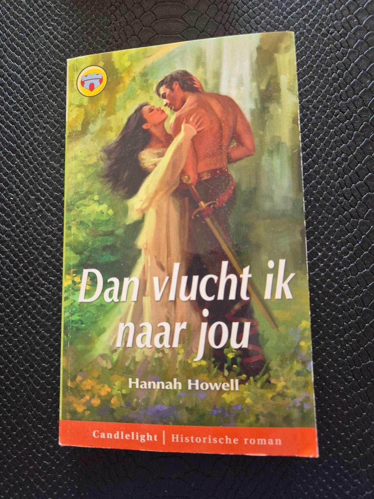 Dan vlucht ik naar jou, Ophalen of Verzenden, Zo goed als nieuw, Hannah howell