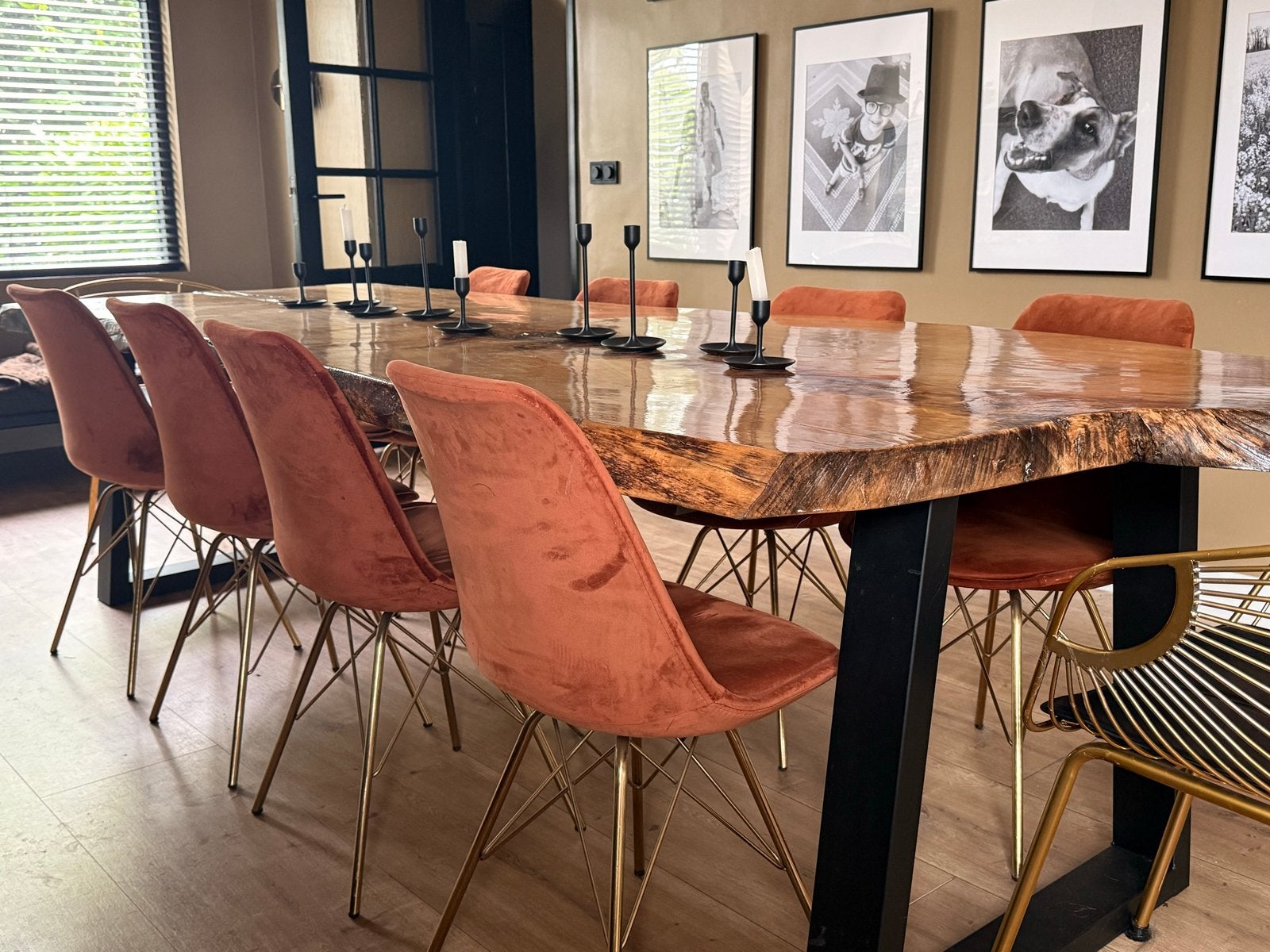 8x Kick Oranje Velvet Kuipstoel met Gouden Onderstel, Huis en Inrichting, Ophalen, Overige kleuren, Zo goed als nieuw, Metaal
