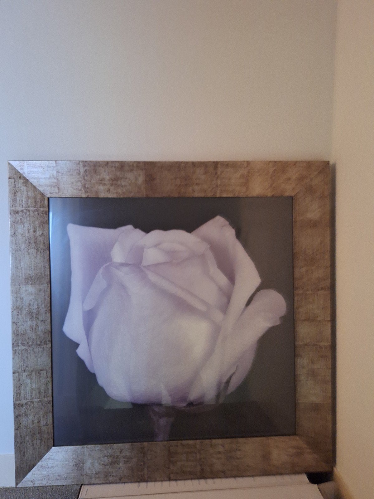 Schilderij Roos, Ophalen, 50 – 75, Zo goed als nieuw, Schilderij