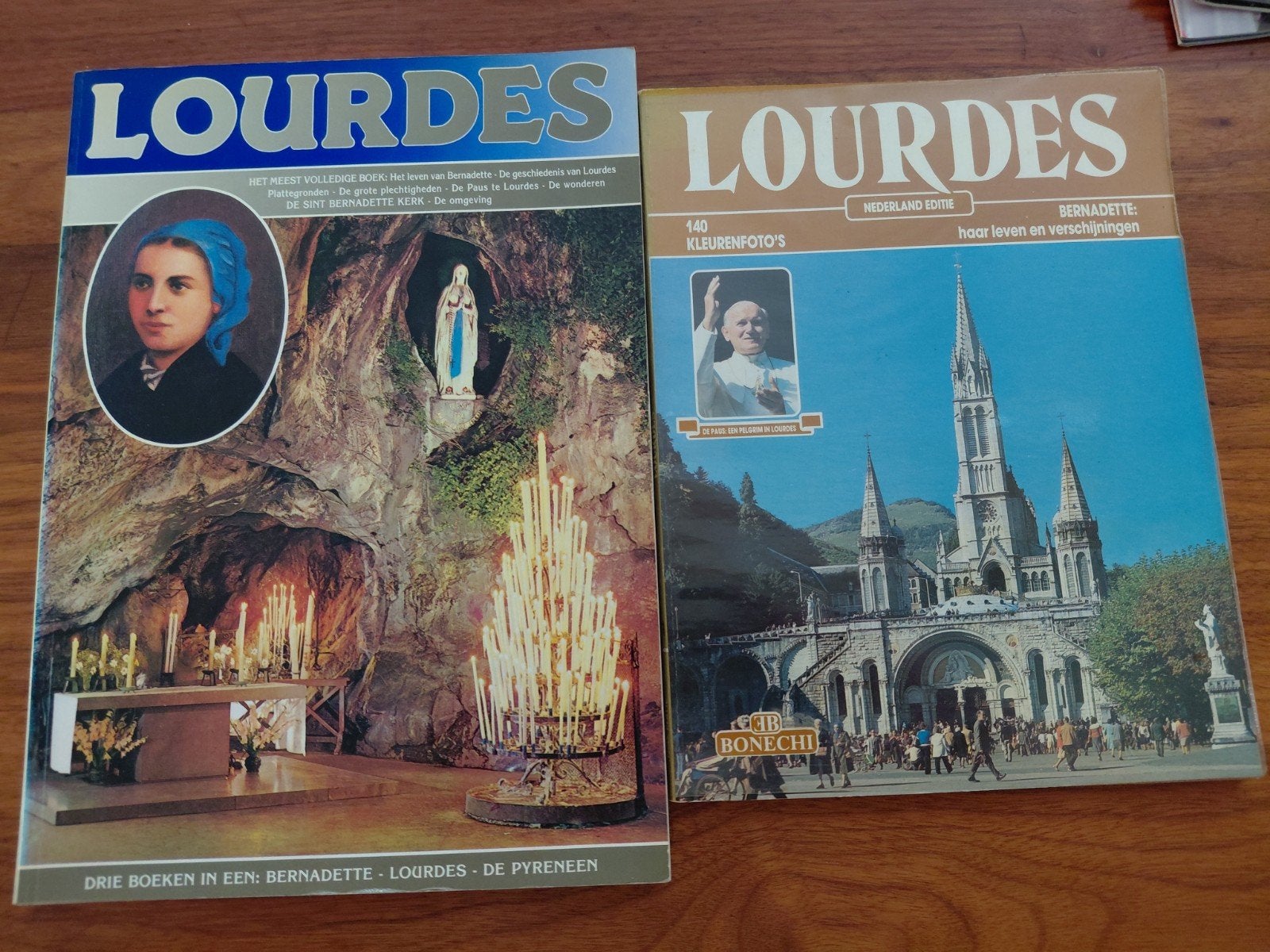 Lourdes, Ophalen of Verzenden, Gelezen