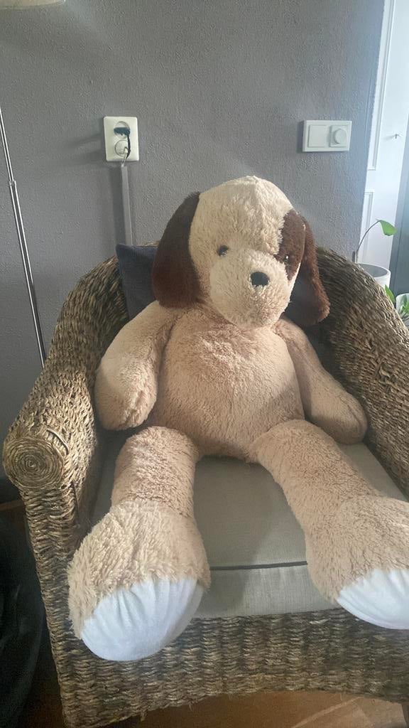 Grote knuffelhond, Kinderen en Baby's, Speelgoed | Knuffels en Pluche, Ophalen, Overige karakters, Overige typen, Zo goed als nieuw