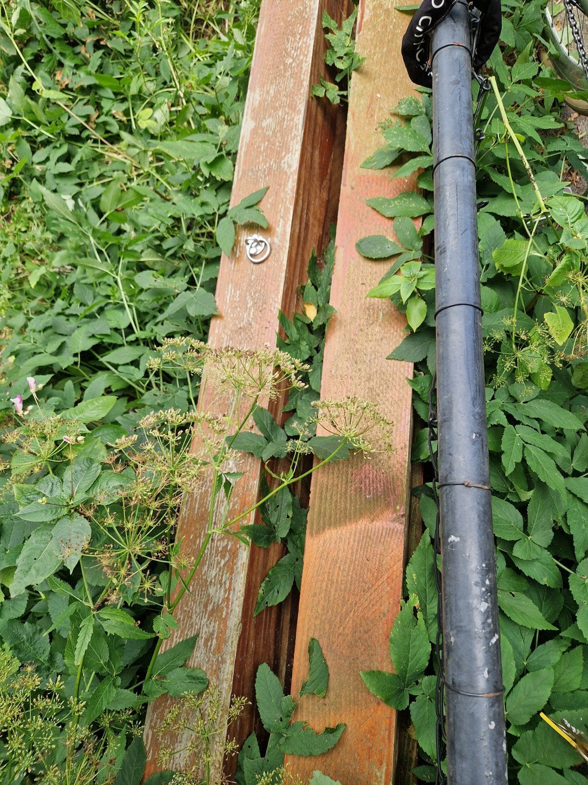 Gebruikte houten planken en balken, Gebruikt, 25 tot 50 mm, 200 tot 250 cm, Balk