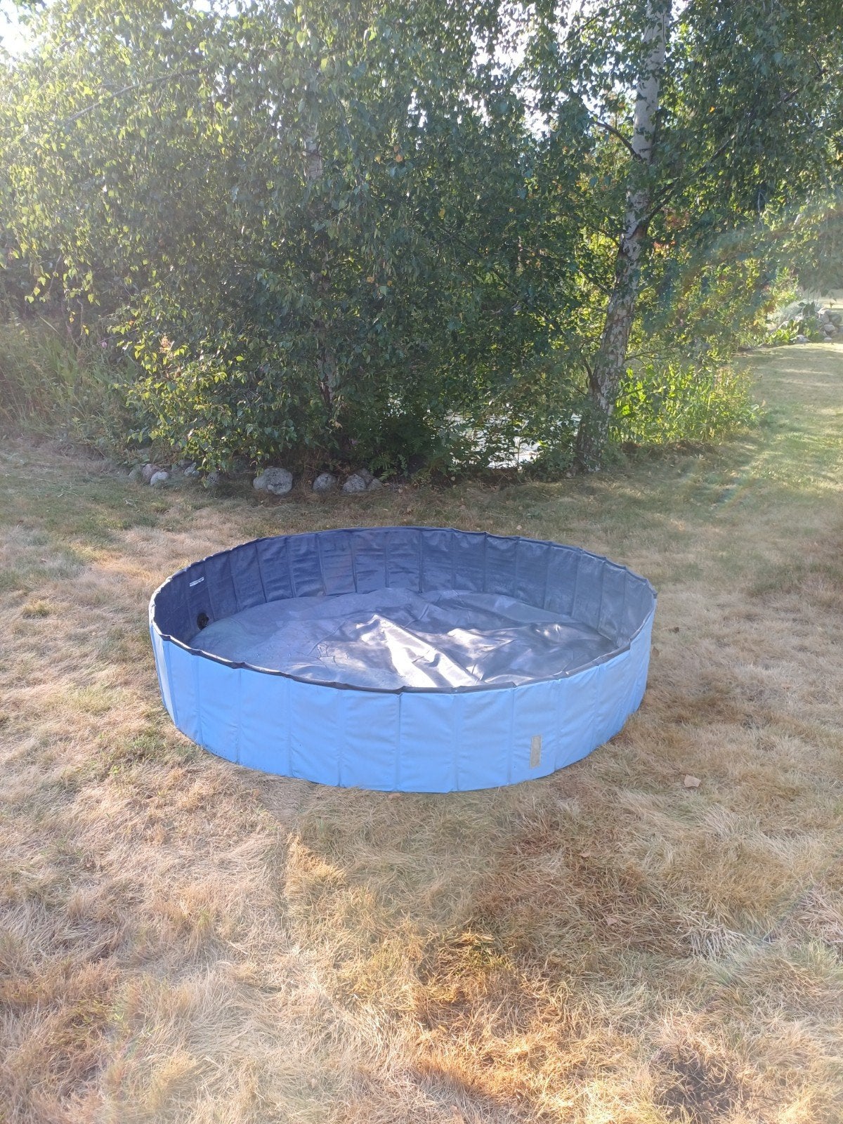 Hondenzwembad, Tuin en Terras, Ophalen, Minder dan 80 cm, Rond, Minder dan 200 cm