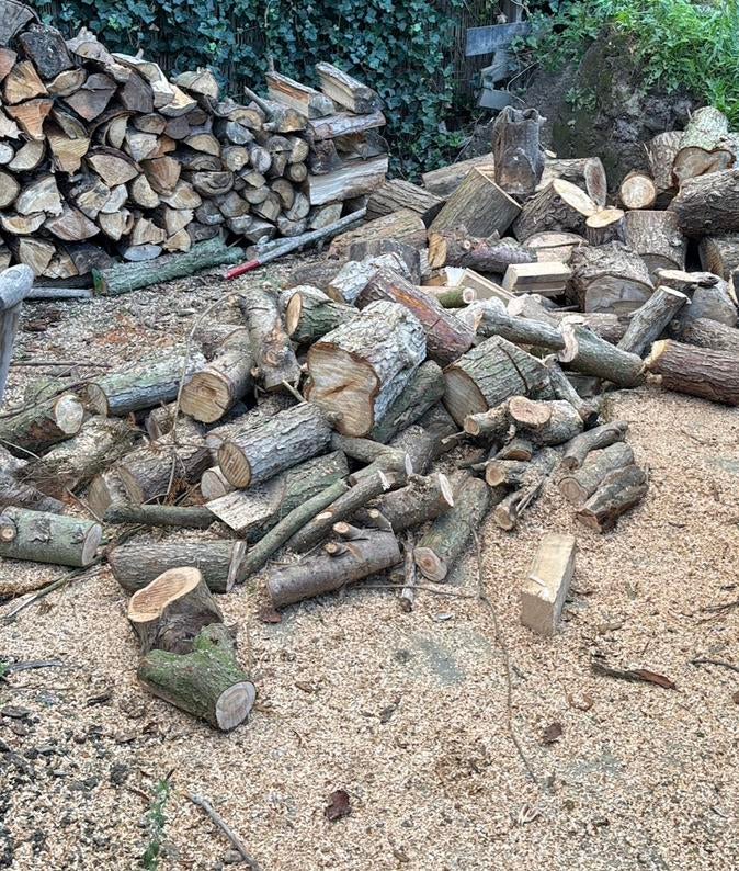 Dennen hout 3 kuub, Ophalen