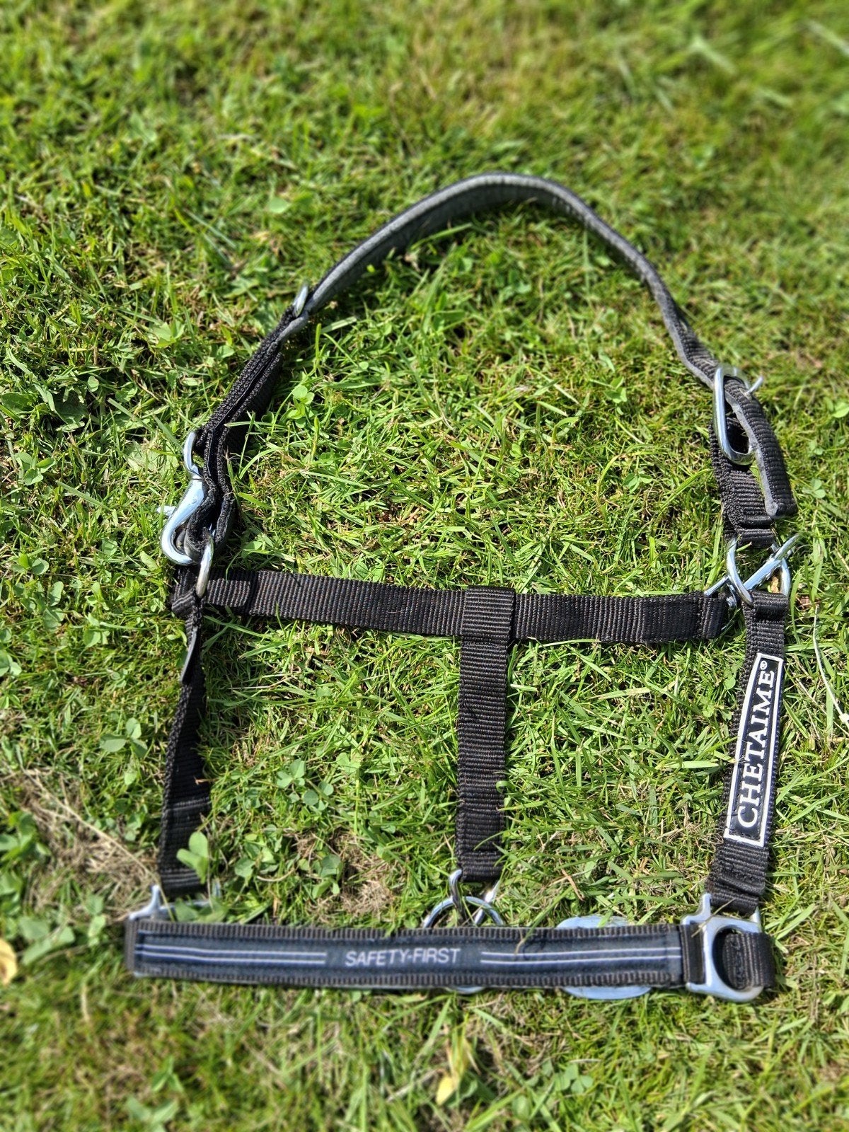 Chetaime safety halster, Dieren en Toebehoren, Ophalen of Verzenden, Zo goed als nieuw, Overige soorten