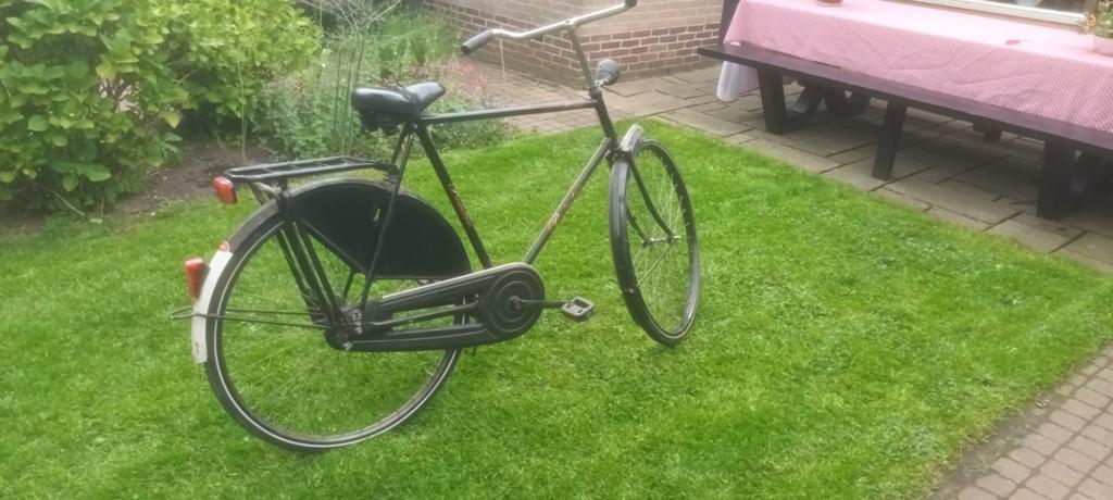 Heren fiets, Terugtraprem, Gebruikt, Pointer, 56 cm of meer