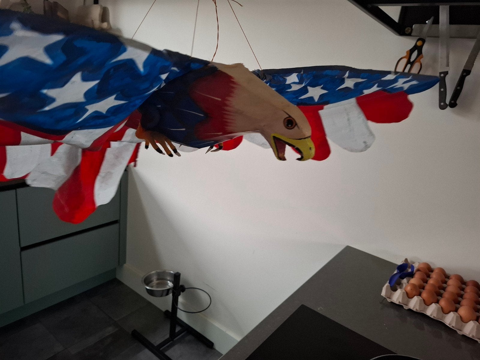 Amerikaanse Adelaar Vlieger - Decoratief en Uniek, Ophalen of Verzenden, Gebruikt, Eenlijns, Vlieger
