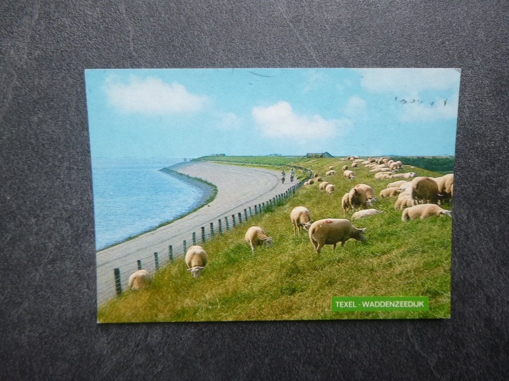 Texel, wadenzeedijk/schapen 1985, Verzenden, 1960 tot 1980, Gelopen, Waddeneilanden