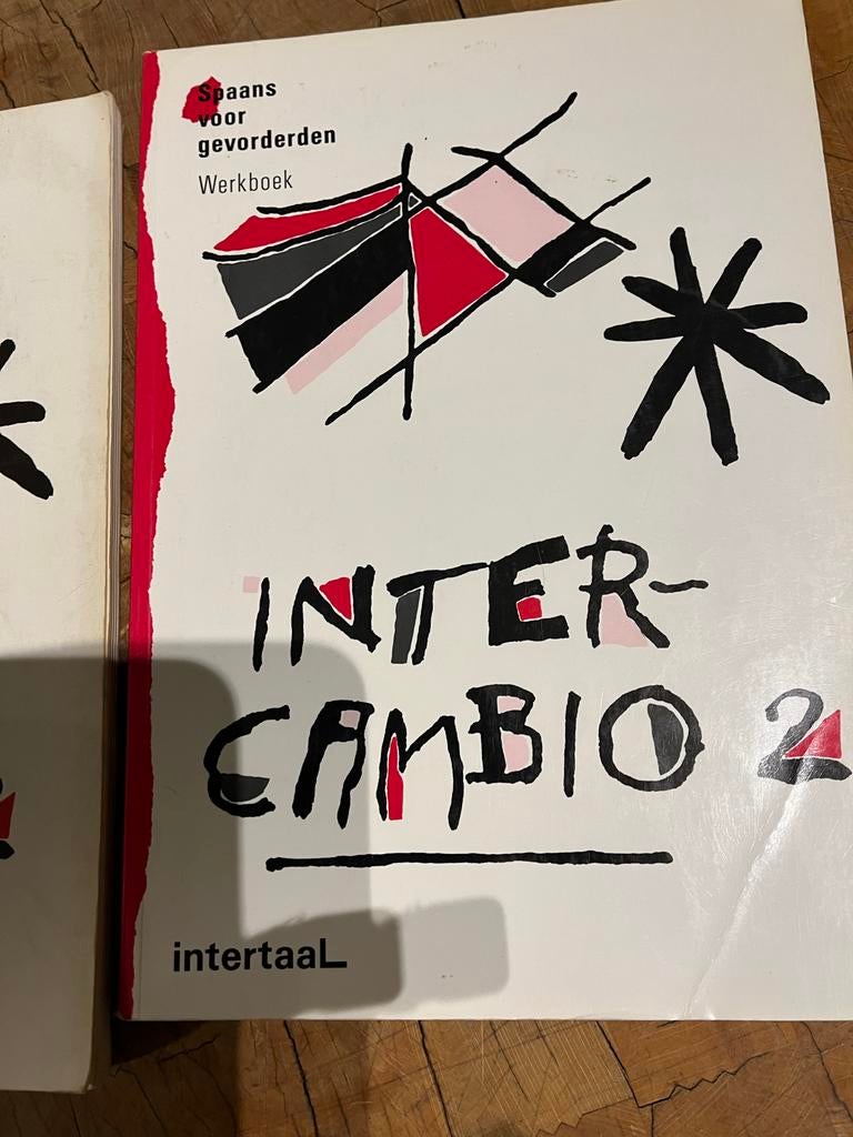 Intercambio 2 Spaans Werkboek - Leer Spaans!, Ophalen of Verzenden, Gelezen, Niet van toepassing