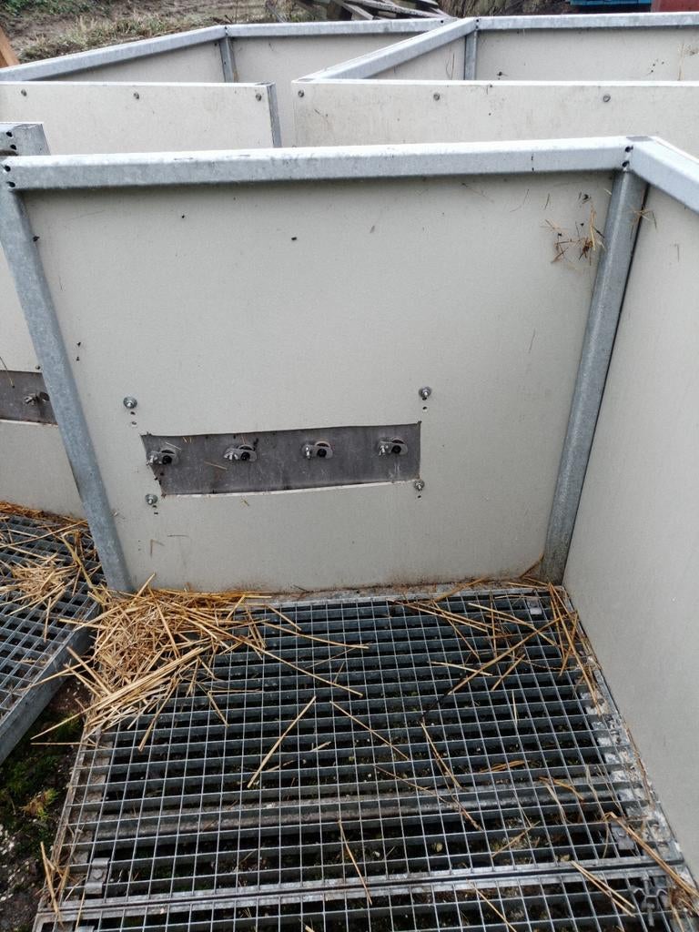 Melk automaat kist, Dieren en Toebehoren, Mannelijk, Schaap