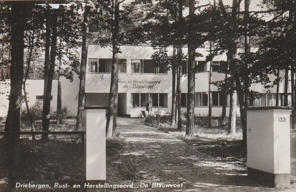 driebergen- de blauwvoet, Ophalen of Verzenden, 1940 tot 1960, Utrecht