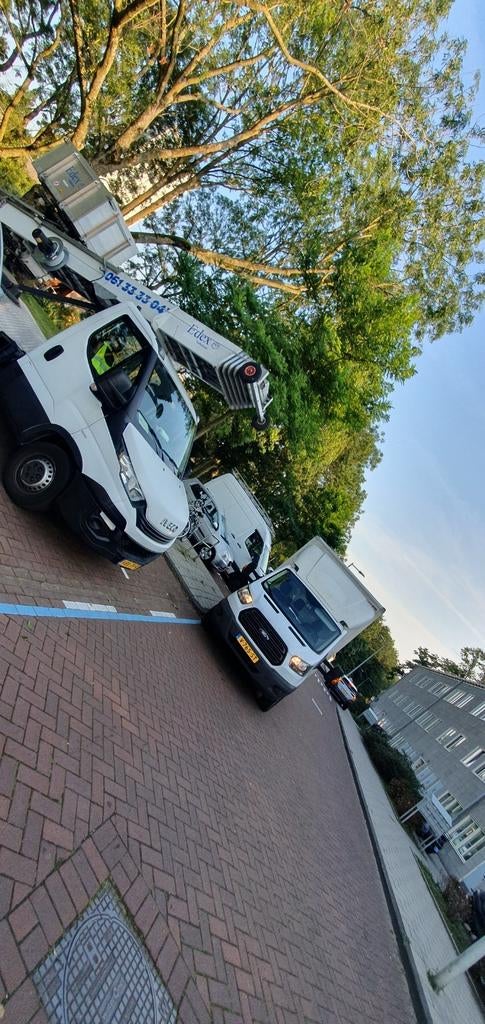 Foto 11 van Verhuislift Amsterdam . verhuisliftservices.ladderlift