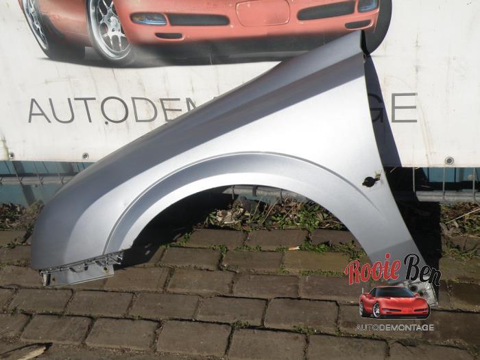 Scherm links-voor van een Opel Signum (4AU), Gebruikt, -, -, Opel