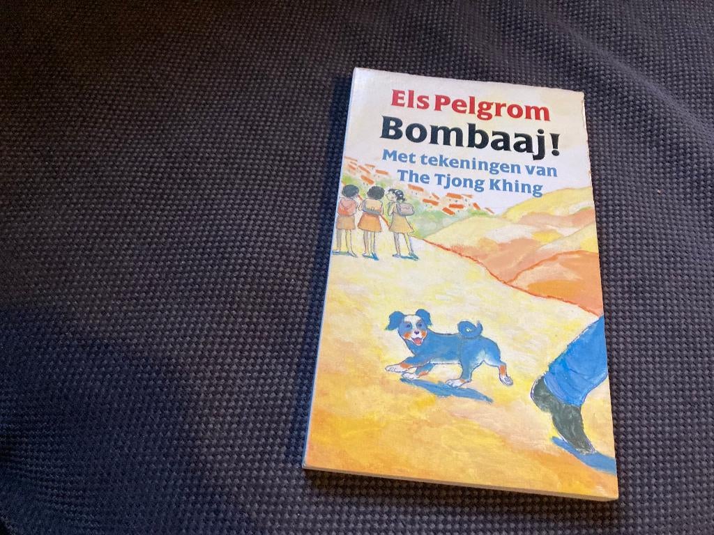 🏖️ Els Pelgrom - Bombaaj!, Ophalen of Verzenden, Gelezen
