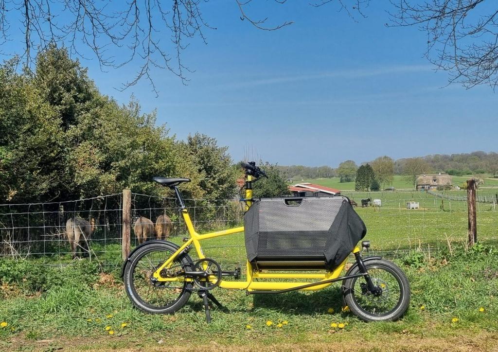 Muli Muskel Belt Fresh Lemon op voorraad!, Fietsen en Brommers, Overige merken, Verzenden, Nieuw, Info@cafecadans.nl