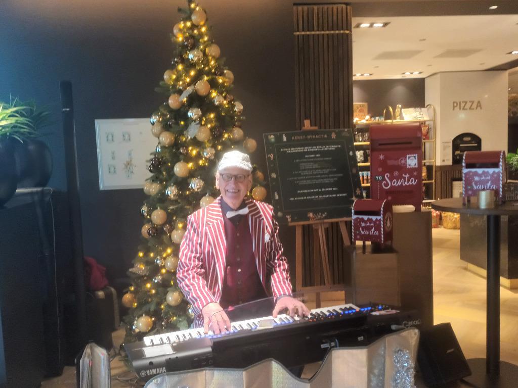 Muzikant piano/keyboard (allround), Solo-artiest