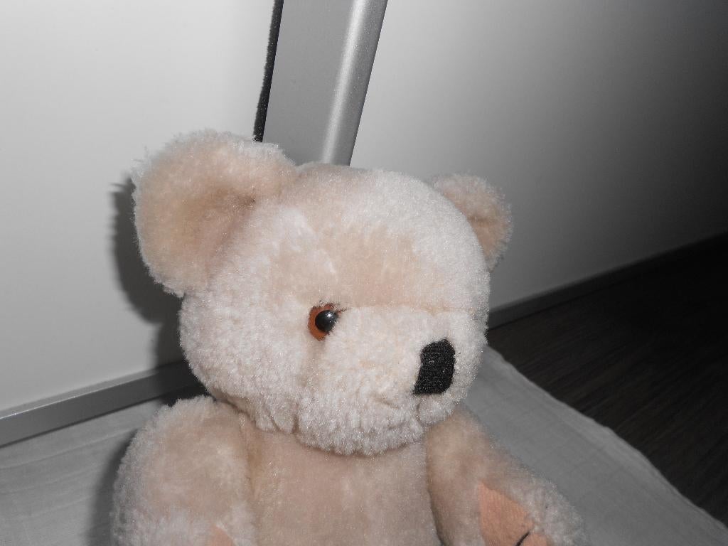 Teddybeer - JCJ Haans Holland, Ophalen of Verzenden, Zo goed als nieuw, Beer