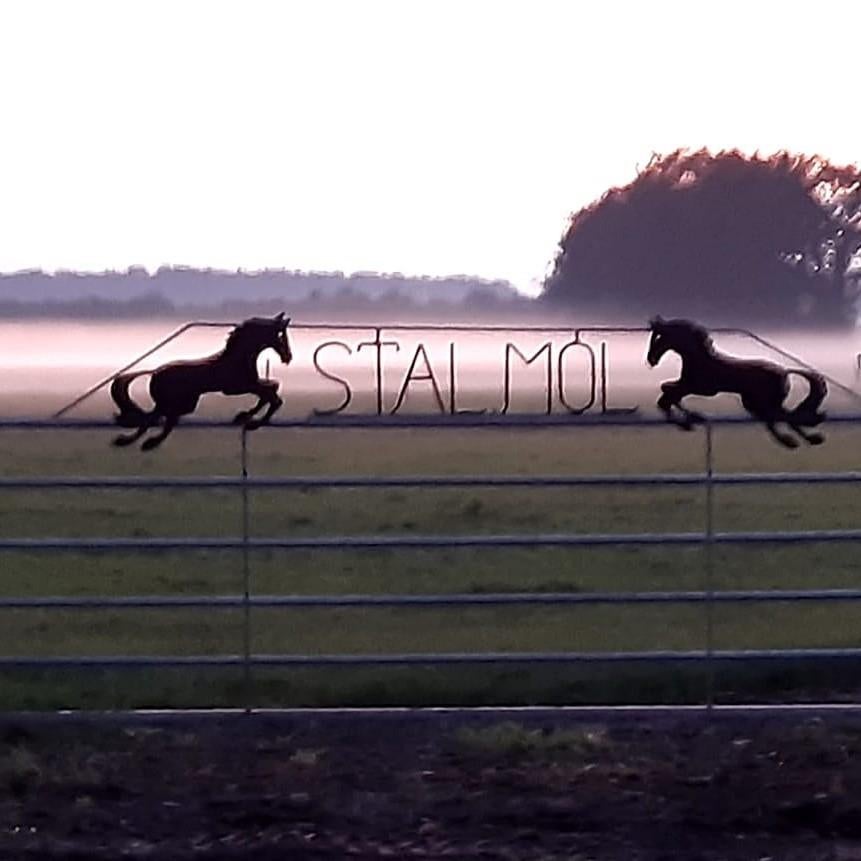 Pensionstalling en Trainingsstal, Weidegang, 1 paard of pony