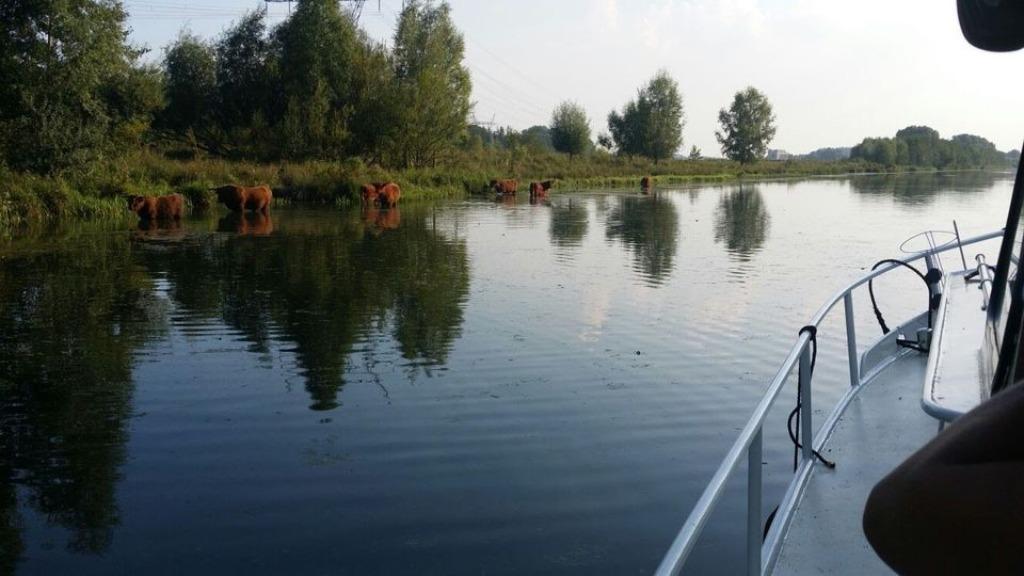 Foto 3 van Boot huren
